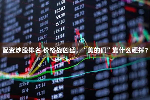 配资炒股排名 价格战凶猛，“美的们”靠什么硬撑？